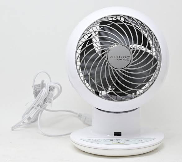 Looking for a Vornado Alternative? Why Woozoo Globe Fan Wins